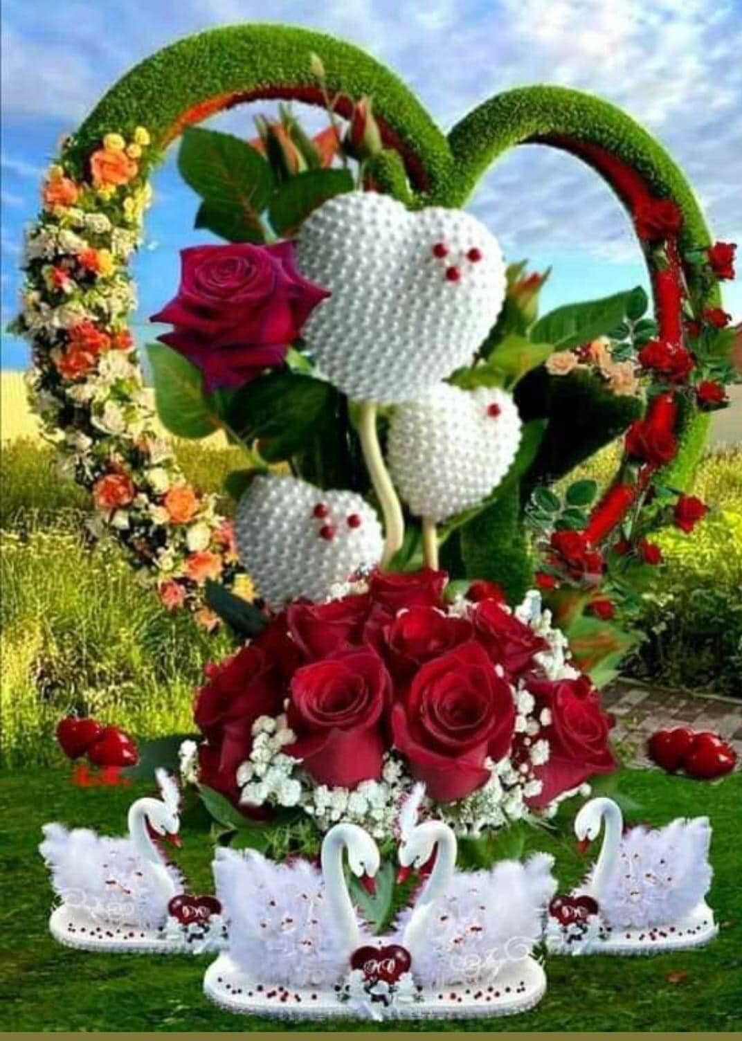 Chatty Chat Camere de chat Site-uri de chat Mobil